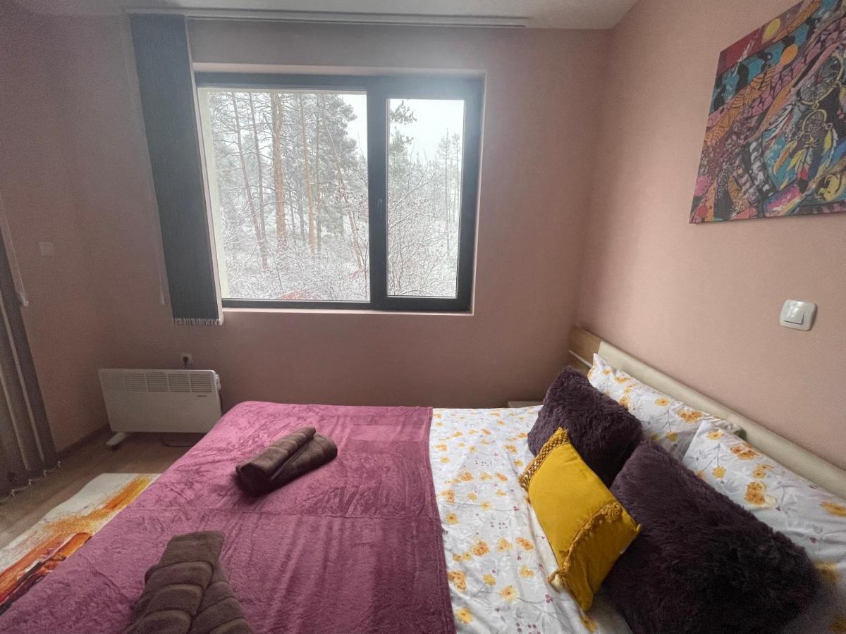 Apartamento Nikol 2 Deluxe Velingrado Exterior foto